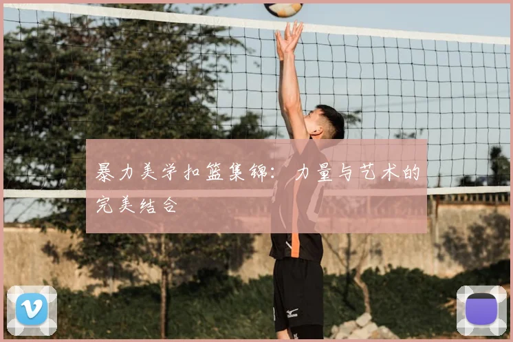 暴力美学扣篮集锦:力量与艺术的完美结合