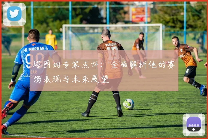 塔图姆专家点评:全面解析他的赛场表现与未来展望