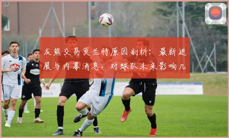 灰熊交易莫兰特原因剖析：最新进展与内幕消息，对球队未来影响几何？