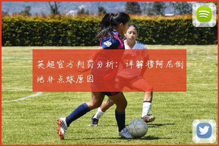 英超官方判罚分析：详解穆阿尼倒地非点球原因